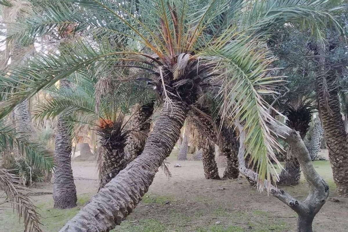 Παραλίες προς ανατολικά